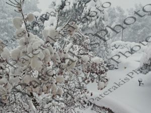 19 ΧΙΟΝΙΑ ΙΠΠΟΚΡΑΤΕΙΟΣ ΠΟΛΙΤΕΙΑ 16-02-2021