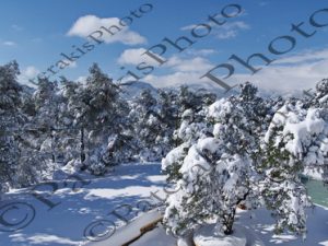 20 ΧΙΟΝΙΑ ΙΠΠΟΚΡΑΤΕΙΟΣ ΠΟΛΙΤΕΙΑ 17-02-2021