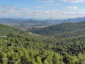 24 ΘΕΑ ΚΑΠΑΝΔΡΙΤΙ ΛΙΜΝΗ ΜΑΡΑΘΩΝΟΣ ΑΠΟ ΙΠΠΟΚΡΑΤΕΙΟ ΠΟΛΙΤΕΙΑ 23-11-2020