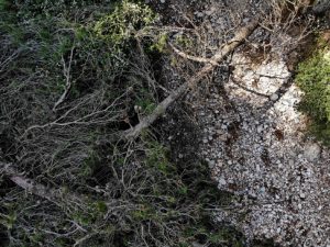 26 ΧΑΡΑΔΡΟΣ ΡΕΡΑ ΑΦΙΔΝΑΙ DRONE 10-03-2021