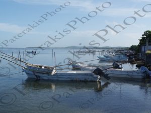 28 ΨΑΡΑΒΑΡΚΕΣ ΨΑΡΑΔΕΣ CHAPOTON ΜΕΞΙΚΟ 17-08-2019