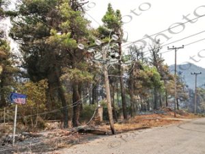 29 ΚΑΜΜΕΝΕΣ ΚΟΛΩΝΕΣ ΔΕΔΔΗΕ ΙΠΠΟΚΡΑΤΕΙΟΣ ΠΟΛΙΤΕΙΑ 07-08-2021