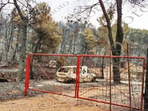 30 ΚΑΜΜΕΝΑ ΑΥΤΟΚΙΝΗΤΑ ΙΠΠΟΚΡΑΤΕΙΟΣ ΠΟΛΙΤΕΙΑ 07-08-2021