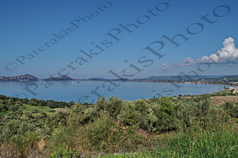 30 ΣΦΑΚΤΗΡΙΑ ΧΕΛΩΝΗΣΙ ΟΡΜΟΣ ΝΑΒΑΡΙΝΟ ΜΕΣΣΗΝΙΑ 31-10-2021