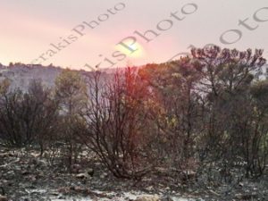 31 ΔΕΙΛΙΝΟ ΣΤΑ ΚΑΜΜΕΝΑ ΙΠΠΟΚΡΑΤΕΙΟΣ ΠΟΛΙΤΕΙΑ 07-08-2021