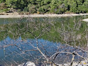 31 ΛΙΜΝΗ ΜΠΕΛΕΤΣΙ ΙΠΠΟΚΡΑΤΕΙΟΣ ΠΟΛΙΤΕΙΑ 28-11-2020