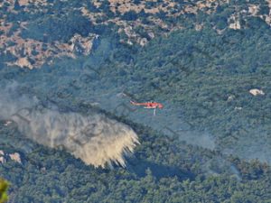 32 ΠΥΡΟΣΒΕΣΤΙΚΑ ΕΛΙΚΟΠΤΕΡΑ ERICKSON S 64 ΚΑΤΑΣΒΕΣΗ ΦΩΤΙΑ ΚΑΤΣΙΜΙΔΙ 08-08-2021