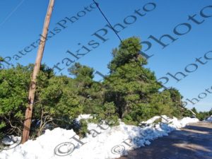 33 ΣΠΑΣΜΕΝΗ ΚΟΛΩΝΑ ΔΕΔΔΗΕ ΙΠΠΟΚΡΑΤΕΙΟΣ ΠΟΛΙΤΕΙΑ 19-02-2021