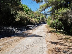 44 ΔΡΟΜΟΣ ΑΝΤΙΠΥΡΙΚΗ ΖΩΝΗ ΙΠΠΟΚΡΑΤΕΙΟΣ ΠΟΛΙΤΕΙΑ 08-08-2021