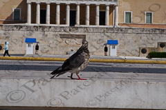 47 ΠΕΡΙΣΤΕΡΙ ΦΡΟΥΡΟΣ ΑΓΝΩΣΤΟΥ ΣΤΡΑΤΙΩΤΗ ΑΘΗΝΑ 28-03-2020