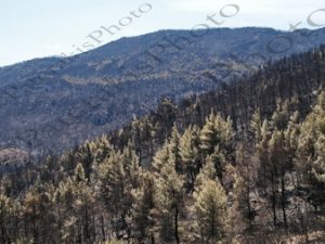 51 ΚΑΜΜΕΝΑ ΡΕΡΑ ΧΑΡΑΔΡΟΣ ΙΠΠΟΚΡΑΤΕΙΟΣ ΠΟΛΙΤΕΙΑ ΑΦΙΔΝΑΙ 12-08-2021