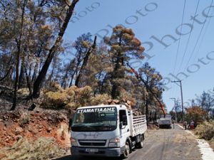 54 ΚΟΠΗ ΚΑΜΜΕΝΩΝ ΕΠΙΚΙΝΔΥΝΩΝ ΔΕΝΔΡΩΝ ΙΠΠΟΚΡΑΤΕΙΟΣ ΠΟΛΙΤΕIΑ 12-08-2021