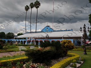 55 ΔΗΜΑΡΧΕΙΟ ΔΕΝΔΡΟ ΕΚΚΛΗΣΙΑ SANTA MARIA DEL TULE ΜΕΞΙΚΟ 20-08-2019