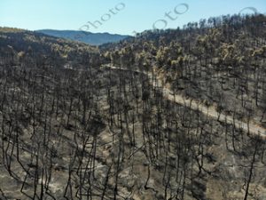 55 ΚΑΜΜΕΝΑ ΧΑΡΑΔΡΟΣ ΨΗΛΟΡΕΙΤΗ ΙΠΠΟΚΡΑΤΕΙΟΣ ΠΟΛΙΤΕΙΑ ΑΦΙΔΝΕΣ DRONE 12-08-2021