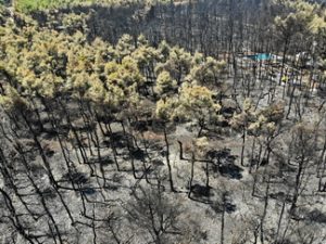 56 ΚΑΜΜΕΝΑ ΟΙΚΟΠΕΔΑ ΠΙΝΔΟΥ ΧΕΛΜΟΥ ΙΠΠΟΚΡΑΤΕΙΟΣ ΠΟΛΙΤΕΙΑ DRONE 12-08-2021