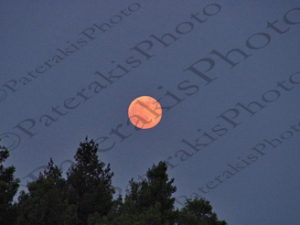 02 ΠΑΝΣΕΛΗΝΟΣ ΙΠΠΟΚΡΑΤΕΙΟΣ ΠΟΛΙΤΕΙΑ 09-06-2017