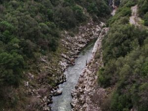 03 ΑΛΦΕΙΟΣ ΠΟΤΑΜΟΣ ΚΑΡΥΤΑΙΝΑ ΑΡΚΑΔΙΑ 03-02-2018