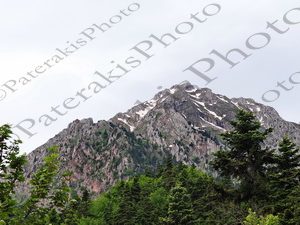 03 ΒΑΡΔΟΥΣΙΑ ΜΟΥΣΟΥΝΙΤΣΑ ΑΘ ΔΙΑΚΟΣ ΦΩΚΙΔΑ 05_06-05-2018