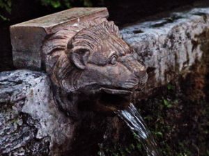 04 ΜΑΙΝΗΤΕΣ ΑΝΔΡΟΣ 04-08-2017