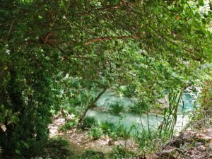 04 ΠΟΛΥΛΙΜΝΙΟ ΜΕΣΣΗΝΙΑ 23-06-2019