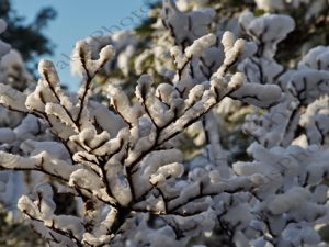 05 ΧΙΟΝΙΣΜΕΝΗ ΜΑΝΩΛΙΑ ΙΠΠΟΚΡΑΤΕΙΟΣ ΠΟΛΙΤΕΙΑ ΠΑΡΝΗΘΑ 04-01-2019