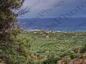 05 ΜΙΛΑΤΟ ΛΑΣΙΘΙΟΥ ΚΡΗΤΗ 05-05-2019