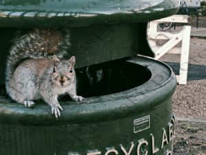 05 ΣΚΙΟΥΡΟΣ GREENWICH LONDON ΗΝΩΜΕΝΟ ΒΑΣΙΛΕΙΟ 17-12-2018