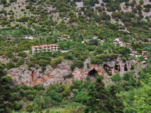 05 ΣΥΚΙΑ ΦΩΚΙΔΑ 06-05-2018