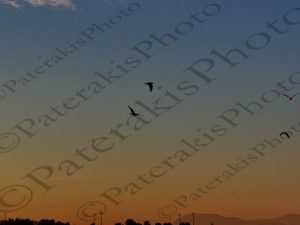 05 ΣΥΝΝΕΦΑ ΠΟΛΥΧΡΩΜΑ ΩΡΩΠΟΣ 02-01-2017