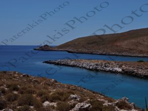 06 ΚΟΚΚΙΝΟΓΕΙΑ ΜΑΝΗ ΛΑΚΩΝΙΑ 01-07-2018