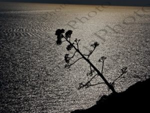 07 ΑΝΤΑΝΑΚΛΑΣΕΙΣ ΗΛΙΟΥ ΣΤΗ ΘΑΛΑΣΣΑ ΣΟΥΝΙΟ 22-10-2017