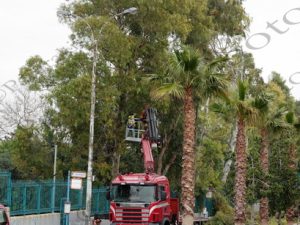 07 ΚΟΠΗ ΨΗΛΟΥ ΔΕΝΔΡΟΥ ΛΙΜΑΝΙ ΠΕΙΡΑΙΑ 15-03-2017