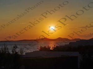 08 ΗΛΙΟΒΑΣΙΛΕΜΑ ΛΑΓΟΝΗΣΙ ΑΤΤΙΚΗ 17-07-2019