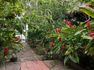 08 ΖΩΑ ΦΡΟΥΤΑ MY THO ΔΕΛΤΑ MEKONG VIETNAM 13-08-2018