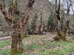 10 ΠΛΑΝΗΤΕΡΟ ΑΧΑΙΑ 17-03-2018