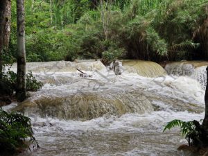 102 KΑΤΑΡΑΚΤΕΣ KUANG SI LAOS 22-08-2018