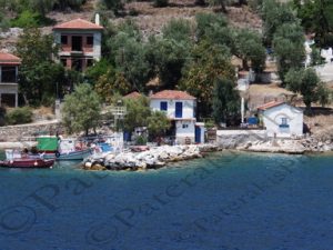 11 ΚΑΙΚΙΑ ΚΟΤΤΕΣ ΠΗΛΙΟ ΜΑΓΝΗΣΙΑ 15-07-2017