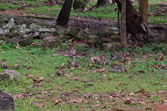 113 ΜΑΙΜΟΥΔΕΣ ANGKOR THOM CANBODIA 23-08-2018