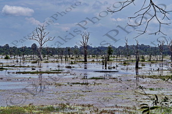 118 ΛΙΜΝΗ ΝΗΣΙΟΥ JAYATATAKA ANGKOR THOM CANBODIA 23-08-2018