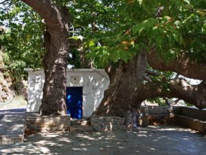 13 ΑΓ.ΜΑΡΙΝΑ ΑΝΔΡΟΣ 07-08-2017