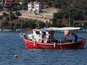 14 ΚΑΙΚΙΑ ΑΓ.ΑΝΔΡΕΑΣ ΠΗΛΙΟ ΜΑΓΝΗΣΙΑ 15-07-2017