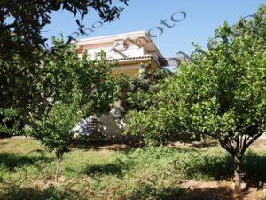 14 ΟΙΚΙΑ ΚΑΡΤΕΡΟΛΙ ΜΕΣΣΗΝΙΑ 13-05-2018