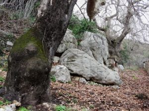 15 ΜΟΝΗ ΑΓ.ΝΙΚΟΛΑΟΥ ΥΨΗΛΑΝΤΗΣ ΒΟΙΩΤΙΑΣ 22-01-2017