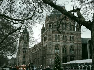 16 NATURAL HISTORY MUSEUM LONDON ΗΝΩΜΕΝΟ ΒΑΣΙΛΕΙΟ 18-12-2018