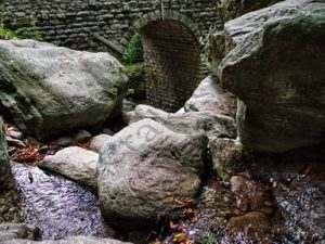 17 ΜΗΛΙΕΣ ΠΗΛΙΟ ΜΑΓΝΗΣΙΑ 16-07-2017