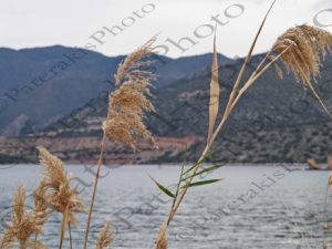 18 ΚΑΛΑΜΙΕΣ ΚΑΛΛΟΝΗ ΑΡΓΟΛΙΔΑ 24-03-2018