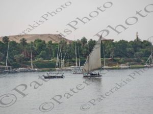 19 ΦΑΛΟΥΚΕΣ ASWAN ΑΙΓΥΠΤΟΣ 13-04-2018