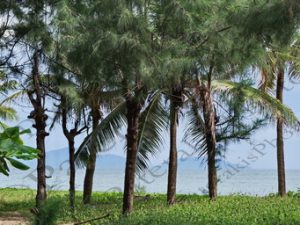 19 ΨΑΡΑΔΙΚΟ ΠΑΡΑΛΙΑ CUA DAI HOI AN VIETNAM DRONE 15_16-08-2018