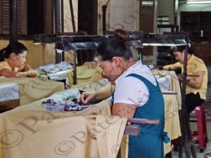 20 ΜΕΤΑΞΟΣΚΩΛΗΚΕΣ ΒΙΟΤΕΧΝΙΑ ΜΕΤΑΞΙΟΥ HOI AN VIETNAM 15-08-2018