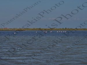 22 ΑΡΓΥΡΟΠΕΛΕΚΑΝΟΣ ΤΟΥΡΛΙΔΑ ΛΙΜΝΟΘΑΛΑΣΣΑ ΜΕΣΟΛΟΓΓΙ ΑΙΤΩΛΟΑΚΑΡΝΑΝΙΑ 07-07-2018